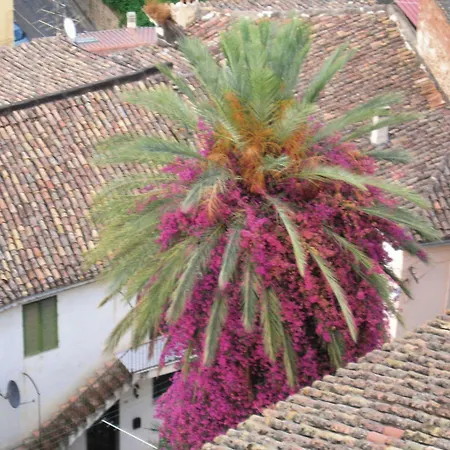 Panzió Palazzo Castriota